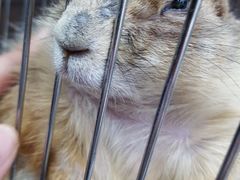 -乐宠宠物店(世纪金源店)