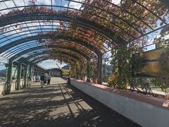 -北京金海湖景区