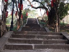 -丰都鬼城名山景区