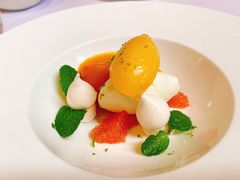 -蝶舍·MAISON PAPILLON