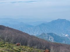 -灵山