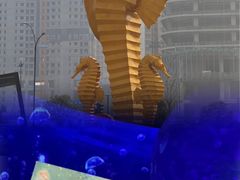 -江和美海洋公园