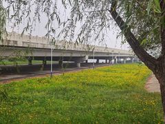 -绿堤公园