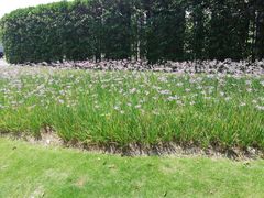 -日出青木·杭帮菜名店