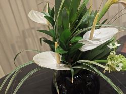 -海菲秀黑钻·SELF SKIN悦己·Tech SPA