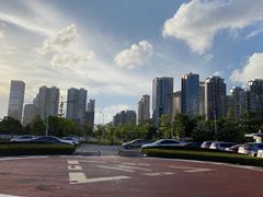 -南方医科大学深圳医院