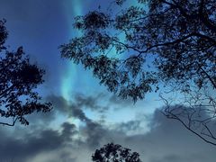 -盘龙城国家考古遗址公园