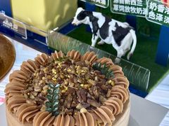 -倾城密码(大唐店)