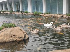 -罗红摄影艺术馆