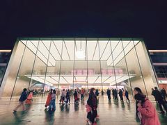 -Apple零售店(青岛万象城店)