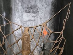 -E+有冰工厂·昆仑寒宫2(五角场店)