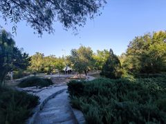 -滨河世纪广场公园