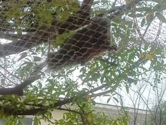-成飞公园