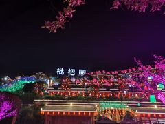 -枇杷园食为鲜火锅(南山店)