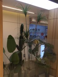 -沈阳名流美容医院