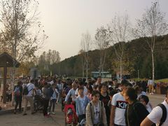 -哈尔滨北方森林动物园