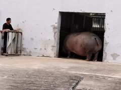 -宿豫区运河湾森林动物园