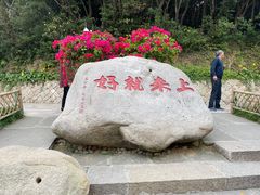 -普陀山风景区-佛顶山