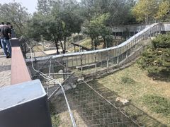 -石家庄市动物园