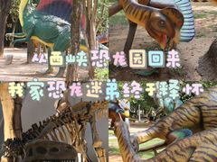 -中国西峡恐龙遗迹园