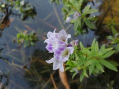 -华南国家植物园-售票处