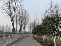 -汉长安城未央宫国家考古遗址公园