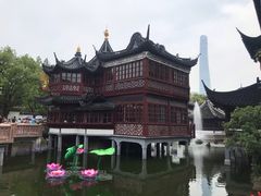 -豫园湖心亭茶楼