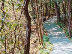 -仙岛湖旅游风景区