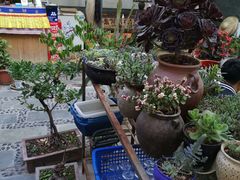 -尼玛藏家风味园(阿山食城店)
