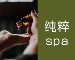 -隐逸SPA