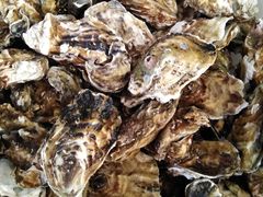 -宾朋海鲜特色美食餐厅·纯手工鲅鱼水饺(兴海路店)