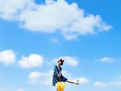 -荷兰花海