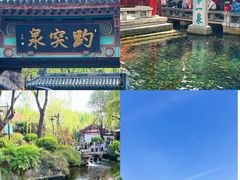 -趵突泉景区