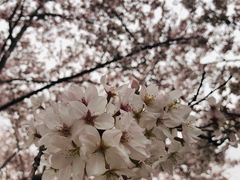 -龙美术馆西岸馆-停车场