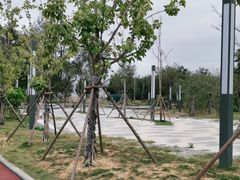 -坛南湾阿强农家乐.海鲜大排档老字号(福州地标美食店)