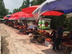 -樱桃山旅游景区