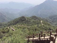 -大岭沟猕猴桃谷风景区