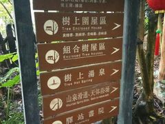 -天门沟九州驿站树上汤泉
