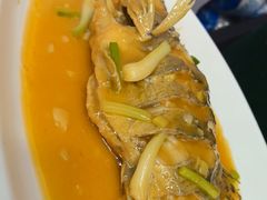 -丹水桥地锅鱼·翘嘴鲌·地方特色全鱼宴(丹江口大坝店)