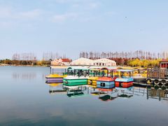 -上海长兴岛郊野公园