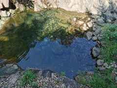 -大奇山国家森林公园