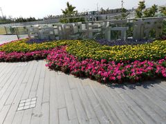 -南京眼步行桥