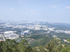 -水濂山森林公园