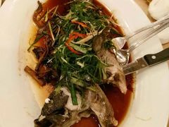 -金鮀岛潮州酒家