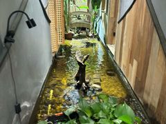 -邈墨茶馆(凤起路店)