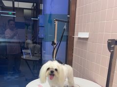 -FAELING PETS美天灵宠物(富力广场店)