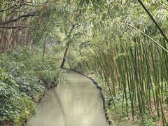 -同里国家湿地公园