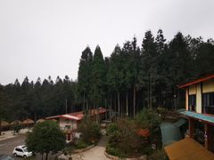 -山王坪喀斯特国家生态公园