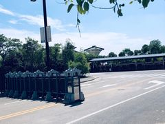 门口车可进-卤阳湖国家湿地公园