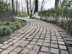 -白塘生态植物园